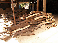 �E�o���K�V